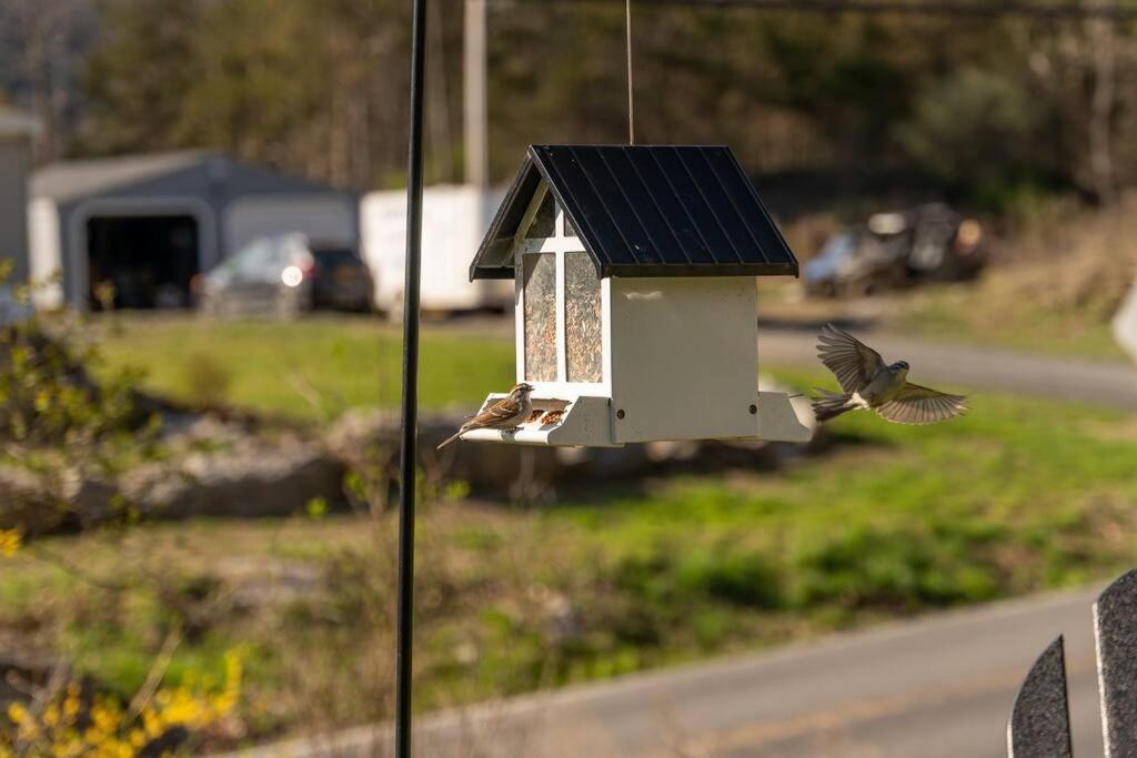 Cozy Cottage, Hot Tub, Fire Pit, 15Min To Hudson And Hiking キャッツキル エクステリア 写真